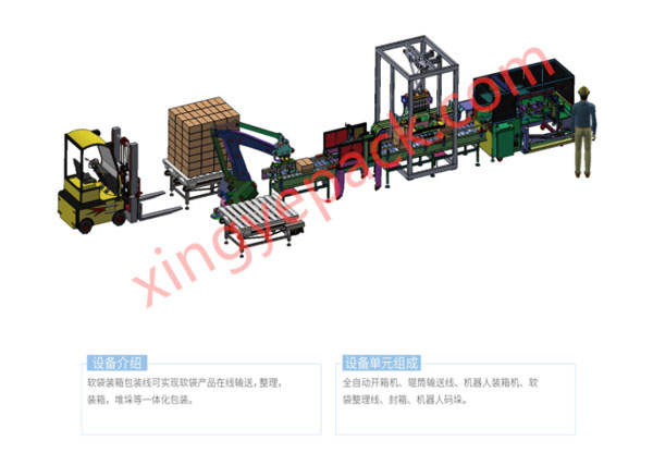 软袋自动装箱机解决方案
